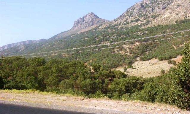 مراتع بروجرد با تهدید تغییر کاربری زمین و خشکسالی مواجه‌اند