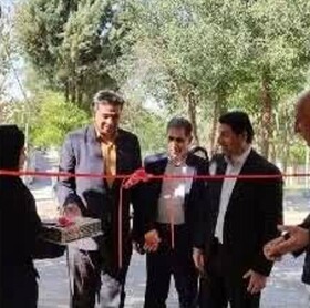 سلامت روان سالمندان از زندگی مهم‌تر است