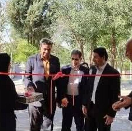 سلامت روان سالمندان از زندگی مهم‌تر است