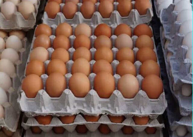 کشف بیش از ۲ تن تخم مرغ بدون مجوز در الیگودرز