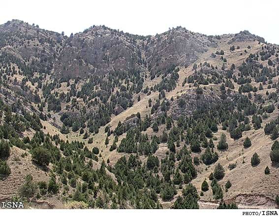 جنگل‌داری اجتماعی، پارادایم نوین مدیریت پایدار جنگل‌های زاگرس