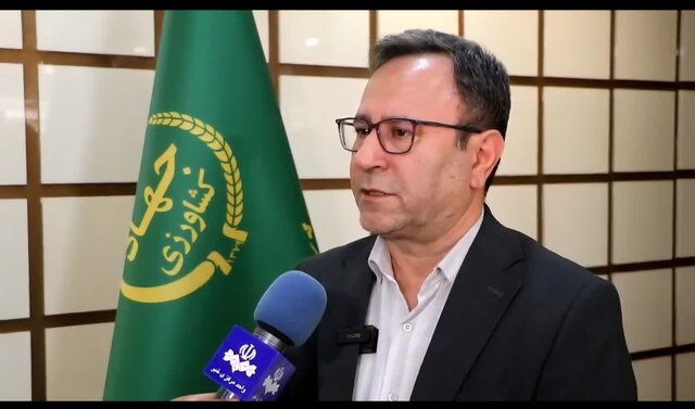 تولید و توزیع پایدار گوشت مرغ در لرستان/ عرضه بیش از ۸ هزار و ۳۶۵ تن در بهمن سال جاری