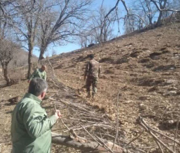 آزادسازی ۴ قطعه از اراضی ملی در خرم‌آباد