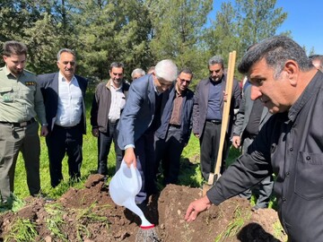 آغاز پویش کاشت ۳۰ میلیون نهال در لرستان 