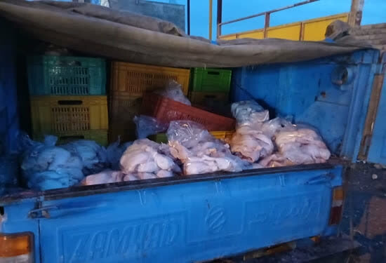 توقیف محموله ۱.۳ تنی مرغ غیرمجاز در بروجرد