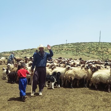 گردشگری روستایی و عشایری، محور توسعه پایدار در بروجرد و لرستان