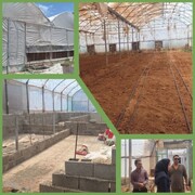 اجرای طرح نوین «آکواپونیک» برای نخستین بار در لرستان 