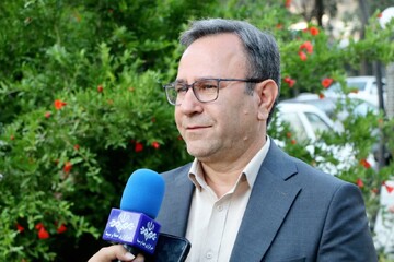 مبارزه با آفت سن در ۱۷۷ هزار هکتار از اراضی گندم و جو لرستان
