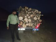 توقف قطع غیرمجاز درختان جنگلی در الیگودرز