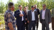 مجتمع کشت و صنعت خرم‌آباد الگویی موفق از تولید دانش‌بنیان است