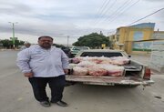 توقیف ۴۰۰ کیلوگرم آلایش غیرخوراکی و غیرمجاز در دلفان