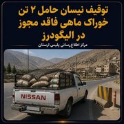 توقیف نیسان حامل ۲ تن خوراک ماهی فاقد مجوز در الیگودرز 