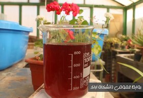 موفقیت محققان دانشگاه اراک در کشت ریزجلبک پرکاربرد در صنایع آرایشی و پزشکی