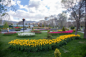 سومین جشنواره گل‌های لاله‌ در اراک