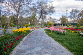 سومین جشنواره گل‌های لاله‌ در اراک