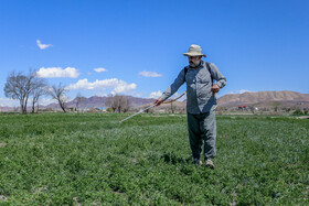 عضو شورای روستای «قیدو» می‌گوید در سال ۱۳۹۱ از محدوه سد کوچری به سمت پایین دست شامل کل اراضی کشاورزی مزاین، قیدو و جلماجرد نقشه برداری و تمامی بندهای موجود در منطقه از خرقاب تا رودخانه روستای مزاین و بندهای انحرافی جردگان تا محلات ثبت و شماره گذاری شده است و طبق این نقشه ها حقابه نیز تعیین شد، اما تاکنون حقابه واقعی تامین نشده است.