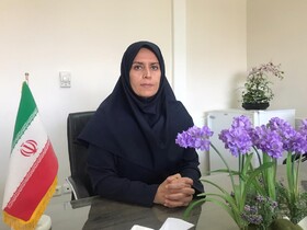 اتصال به پیشران ها، نقطه قوت طرح توانمندسازی اقتصادی زنان سرپرست خانوار