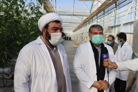 صرفه جویی در واردات نهاده‌های دامی با توزیع نهاده‌ها بین کارخانجات تولید خوراک دام