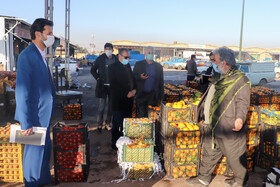 گشت مشترک طرح نظارتی شب یلدا - ساوه