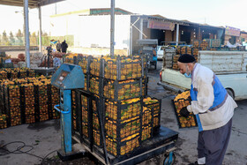 گشت مشترک طرح نظارتی شب یلدا - ساوه