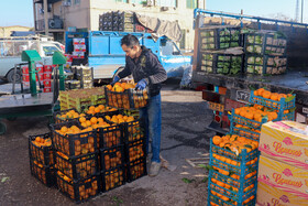 گشت مشترک طرح نظارتی شب یلدا - ساوه