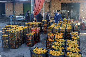 گشت مشترک طرح نظارتی شب یلدا - ساوه