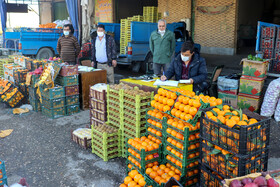 گشت مشترک طرح نظارتی شب یلدا - ساوه