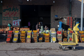 گشت مشترک طرح نظارتی شب یلدا - ساوه