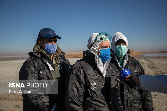 مهار و مدیریت کامل آنفلوانزای فوق حاد پرندگان در کشور