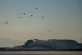 تالاب «میقان» - اراک