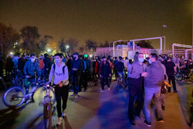 شادی تماشاگران اراکی پس از پیروزی آلومینیوم مقابل پرسپولیس