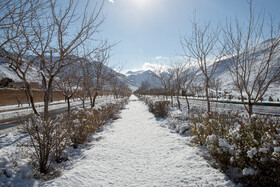 طبیعت برفی دره گردو - اراک