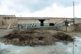 تبدیل دامداری صنعتی به سنتی هزینه هایی از جمله جابجایی و خرید زمین را به دنبال دارد که دامدار تمایلی به این هزینه ندارد، لذا همچنان در قالب سنتی به فعالیت خود ادامه میدهد.