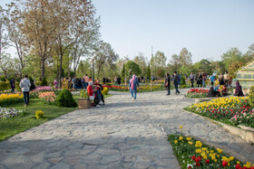 پنجمین جشنواره گلهای لاله - اراک 10