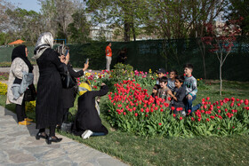 پنجمین جشنواره گلهای لاله - اراک 19
