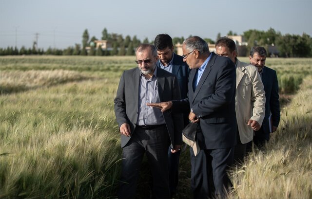 افزایش بهره وری کشاورزی راهکاری برای رشد متوازن اقتصادی کشور