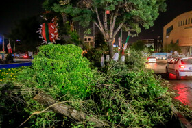 خسارت‌های باران سیل آسا و طوفان در اراک