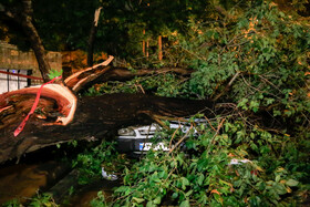 خسارت‌های باران سیل آسا و طوفان در اراک