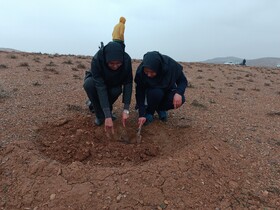 کاشت بیش از ۱۰۰ نهال در منطقه آبخیزداری روستای گلچشمه محلات