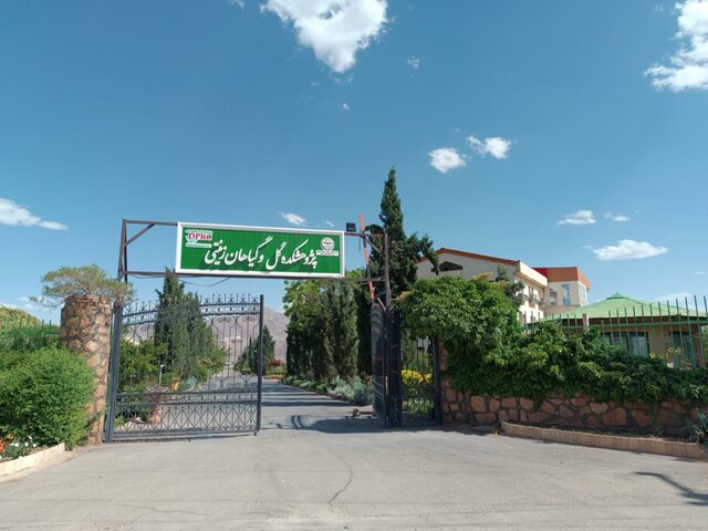 حال پژوهشکده گل و گیاهان زینتی محلات تعریفی ندارد حال پژوهشکده گل و گیاهان زینتی محلات تعریفی ندارد
