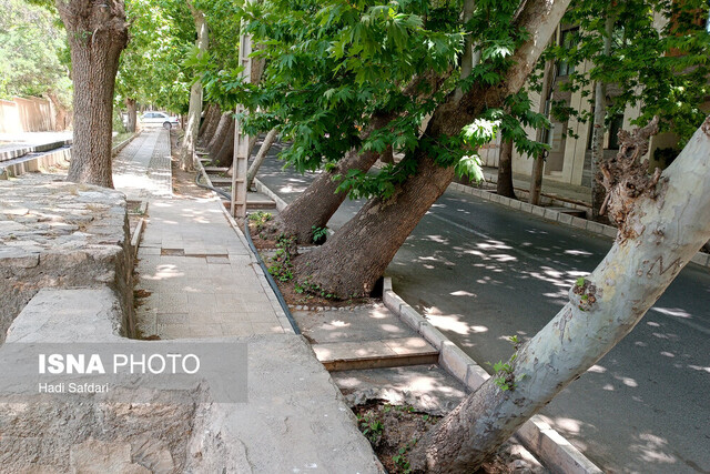 این تکه از تاریخ بدنبال مشتری است!