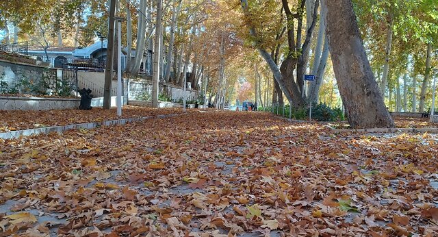 کاش این جارو غبار از ذهنهای خاک گرفته برمیداشت