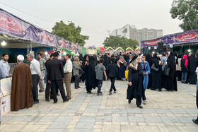 شب‌های شاد علوی - اراک