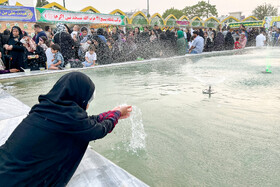 شب‌های شاد علوی - اراک