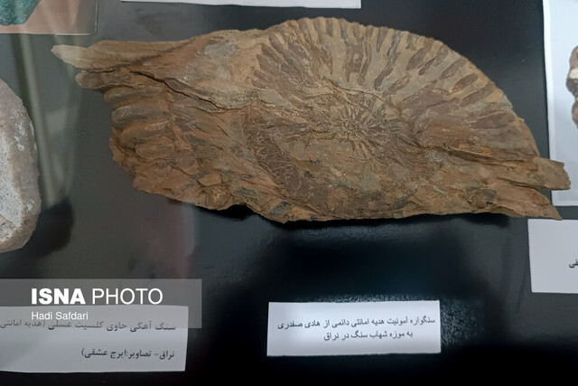 مهمان ناخواندهای که "عشقی" را عاشق شهابسنگها کرد