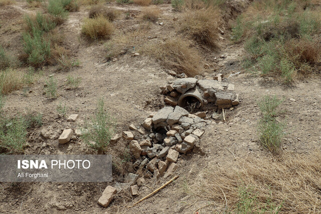 سرایت تشنگی "الغدیر" به باغات انار ساوه