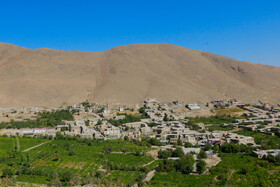 پخت شیره انگور در روستای هزاوه