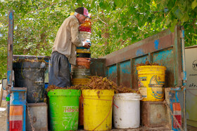 پخت شیره انگور در روستای هزاوه