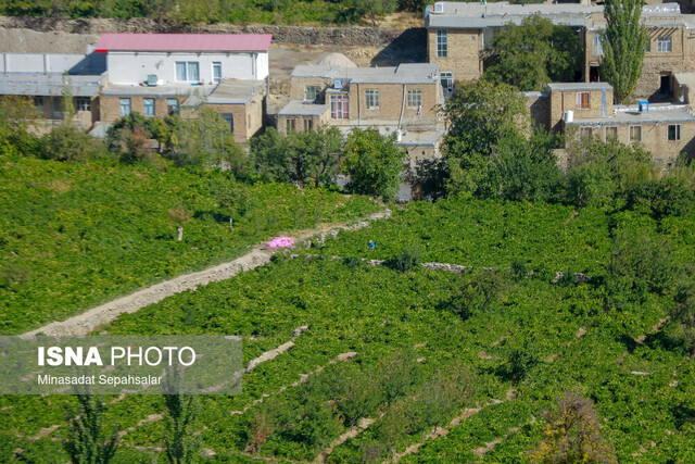 طرح توسعه اقتصادی روستاهای بالای ۲۰ خانوار سیستان و بلوچستان اجرایی می‌شود