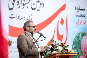 حضور استاندار مرکزی در دومین جشنواره ملی انار ساوه